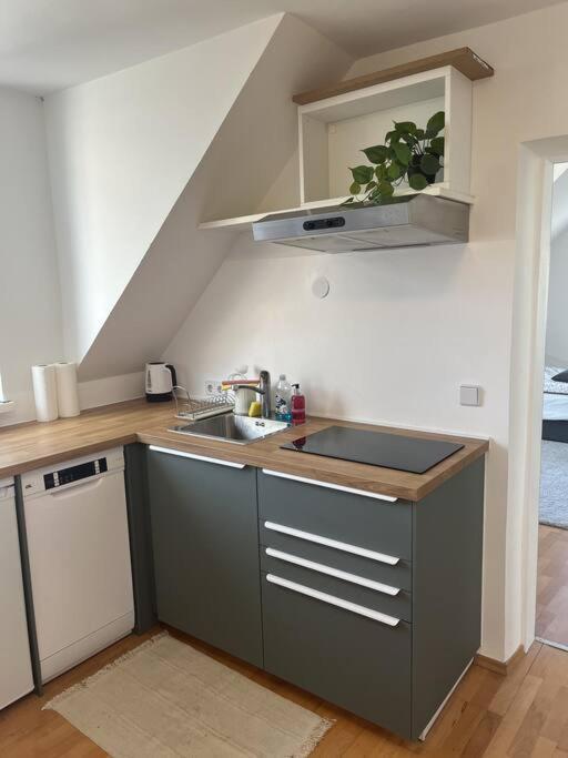 Cozy City Center Apartment กราซ ภายนอก รูปภาพ
